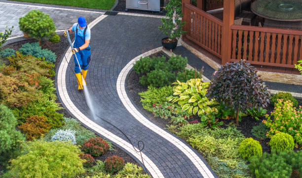 Best Fence Pressure Washing  in Worth, IL